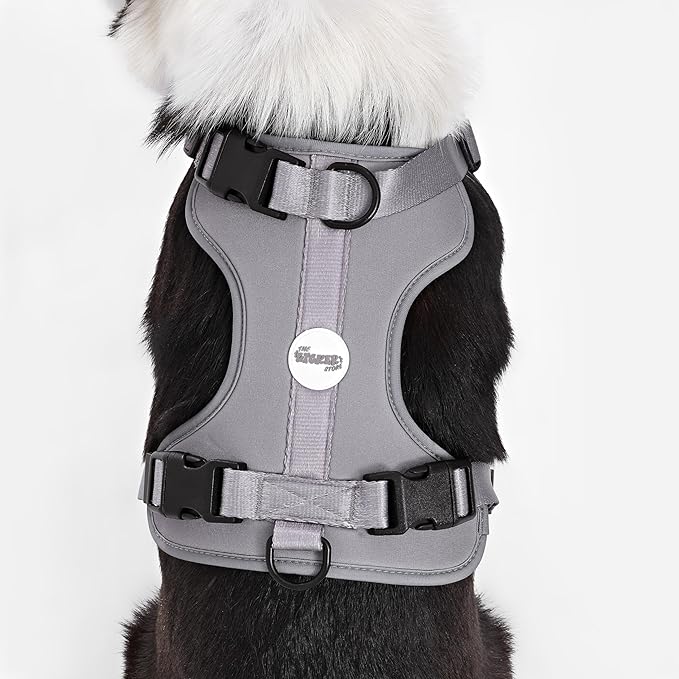 HNS1003N Arlo Large Adjustable Soft Padded No Pull Pet Harness with 3 Buckles and 3 Leash Clips, Martini