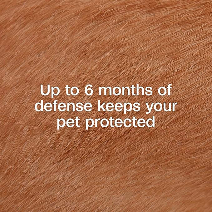ADAMS Flea & Tick Collar Plus for Dogs & Puppies, 2 Pack, 12 Month Protection, Adjustable One Size, Kills Fleas, Ticks & Repels Mosquitoes, Excluding California