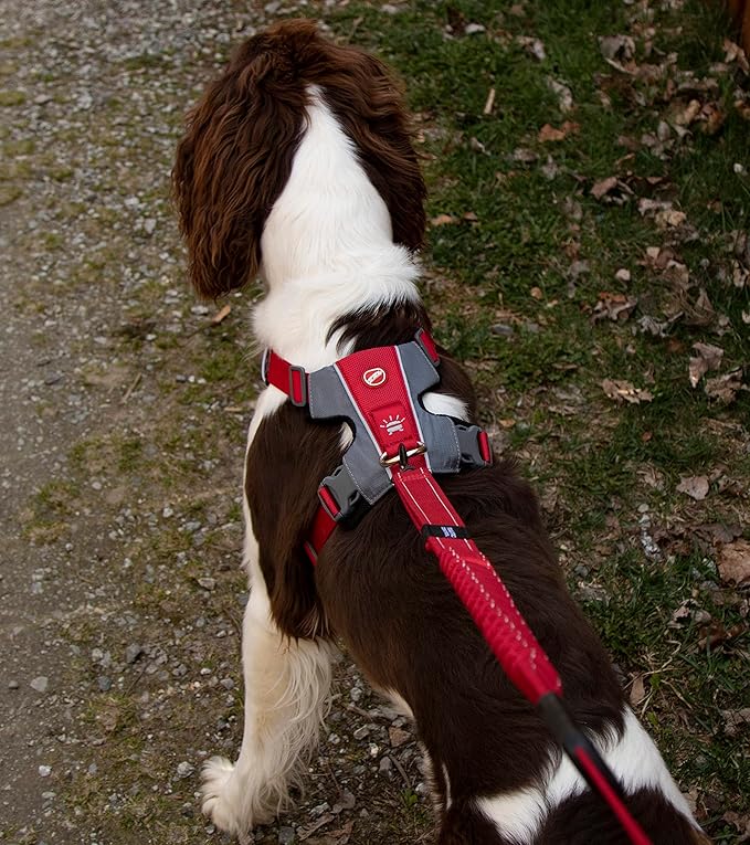 EzyDog X-Link Dog Harness – Reflective and Padded No Pull Dog Harness for Training and Everyday Walks with 2 Leash Attachment Points (Large, Red)