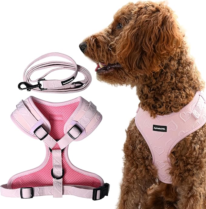 No Pull Neoprene Dog Harness and Leash Set for Small Dog, Neck(18.9–24 in), Adjustable Soft Mesh Design, Pink L -Lightweight No Choke Fit, Step-in, Escape-Proof Comfort