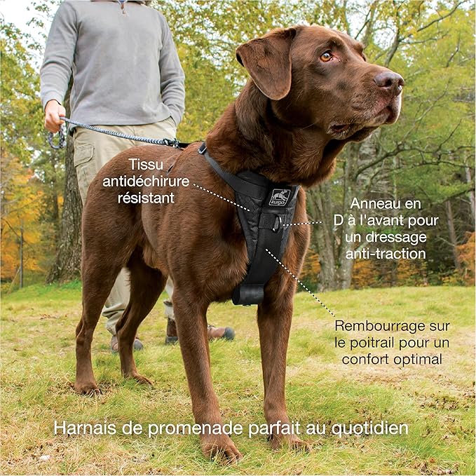 Kurgo Dog Harness | Pet Walking Harness | Small | Black | No Pull Harness Front Clip Feature for Training Included | Car Seat Belt | Tru-Fit Quick Release Style