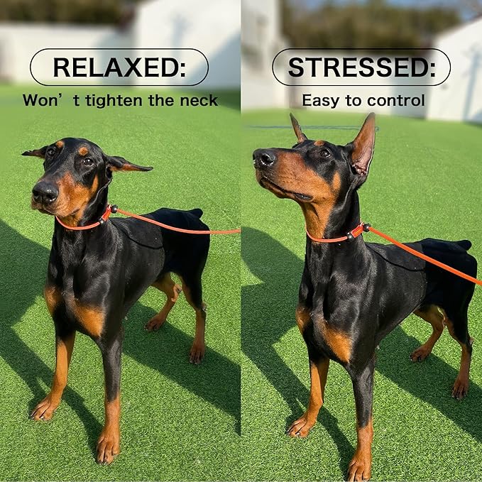 Howgo Dog Slip Lead Dog Leash, Training Leash, No-Pull Lightweight Slip Lead and Collar, Heavy Duty & Durable, Padded Handle, for All Breeds (Red, 3.6FT)