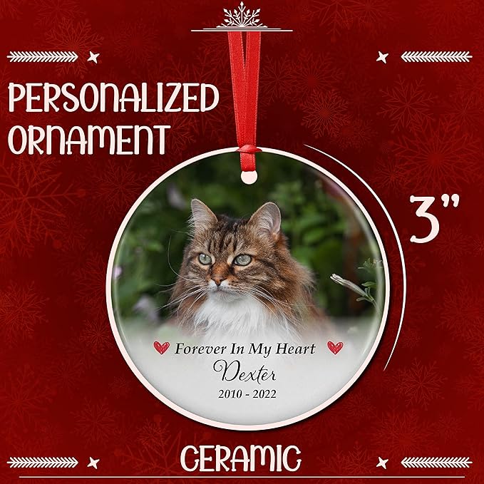 Pet Memorial Gifts, Personalized Dog Memorial Photo Ornament, Custom w/Name & Date - 5 Designs - in Loving Memory, Pet Sympathy Gifts - Keepsake Loss of Dog Cat, D6
