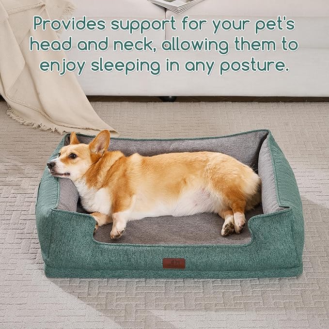 Hollypet Orthopedic Rectangle Dog Bed for Medium Dogs, Supportive Egg-Crate Foam Pet Beds with Removable Washable Waterproof Cover and Non-Slip Bottom, Green, 32" L x 24" W x 8.5" Th