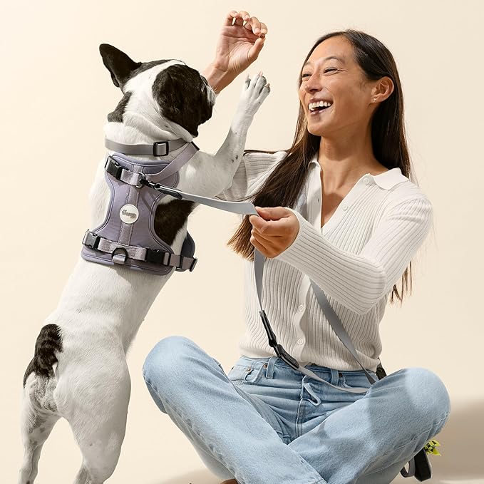 HNS1001N Arlo Small Adjustable Soft Padded No Pull Pet Harness with 3 Buckles and 3 Leash Clips, Martini