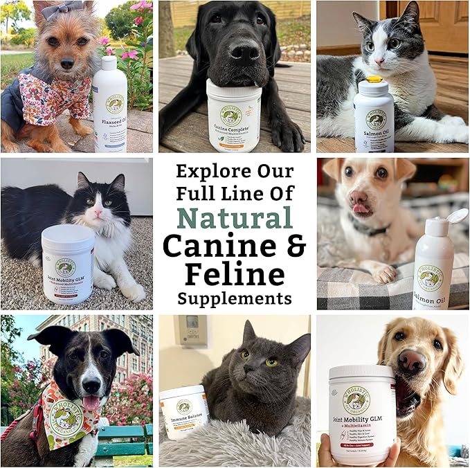 Wholistic Pet Organics Bovine Colostrum Powder - 1 Oz - Seasonal Dog Allergy Relief - Itch Relief for Dogs - Natural Anti Itch Supplement for Dogs - Made in USA - Alternative to Dog Allergy Chews