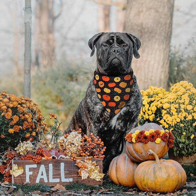 Fall Dog Bandanas - 2 Pack Halloween Thanksgiving Dog Bandana | Reversible Pumpkin and Leaf Pet Scarf for Boy & Girl | Premium Durable Fabric | Holiday Bandana for Medium and Large Dogs (Large)