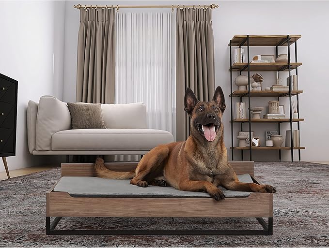 Milo TailZzz Wooden Dog Bed & Couch with Water-Resistant Mattress, Large to Extra Large Elevated Pet Bed with Calming Mattress, Greenguard Gold Certified