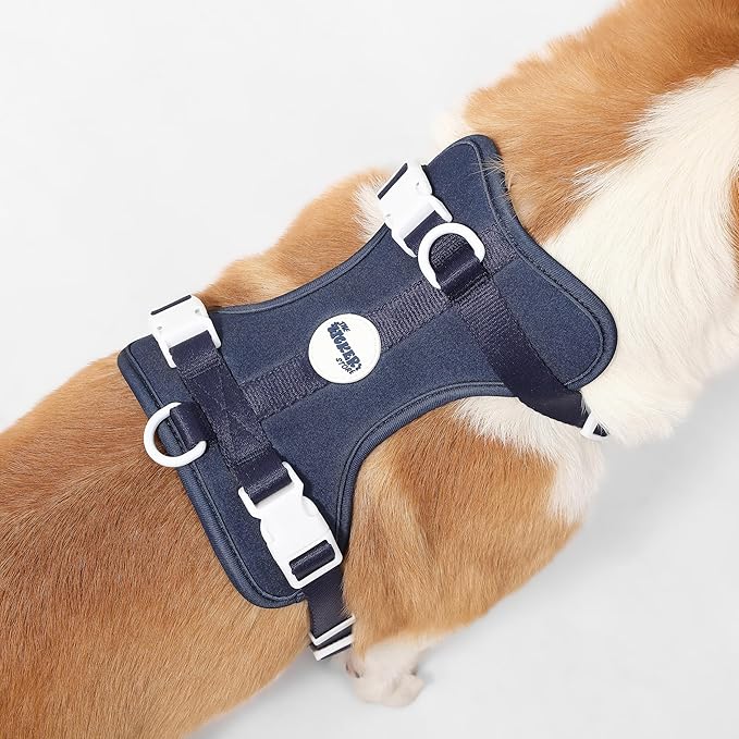 HNS1002J Arlo Medium Adjustable Soft Padded No Pull Pet Harness with 3 Buckles and 3 Leash Clips, Highball