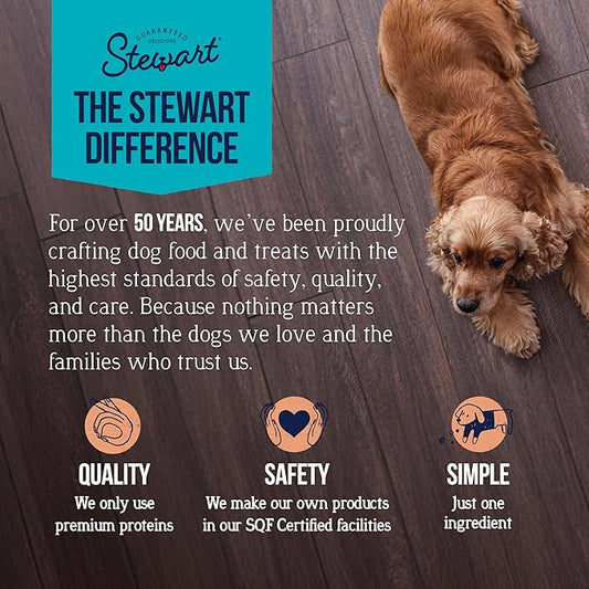 Stewart Wild Salmon Dog Treats, 2.75 oz, ~55 Pieces, Freeze Dried Raw, Single Ingredient, 65% Protein Training Treats or Meal Topper in a Resealable Tub, Grain Free, Gluten Free