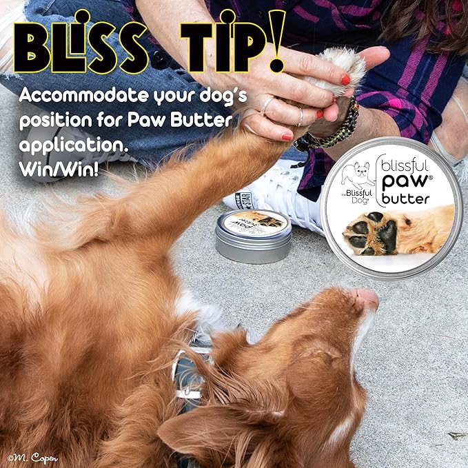 The Blissful Dog Paw Butter, Moisturizer for Dry Paw Pads, Softens and Protects a Rough Paw in Winter, Versatile, Lick-Safe Dog Pad Balm, 8 oz.