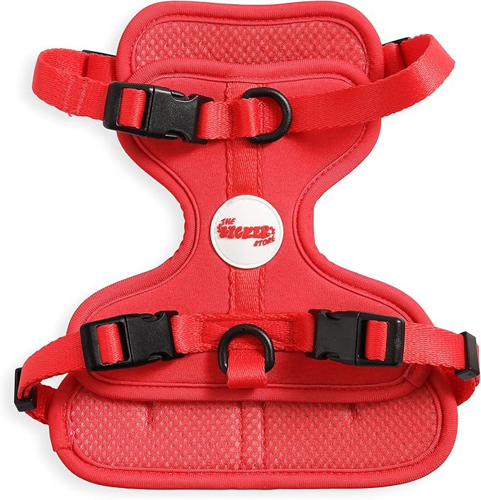 HNS1001M Arlo Small Adjustable Soft Padded No Pull Pet Harness with 3 Buckles and 3 Leash Clips, Shirley