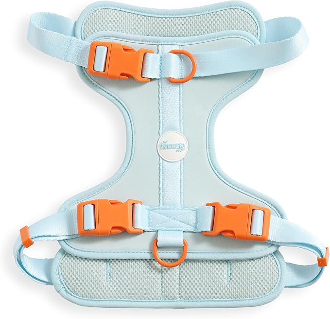 HNS1003D Arlo Large Adjustable Soft Padded No Pull Pet Harness with 3 Buckles and 3 Leash Clips, Fishbowl