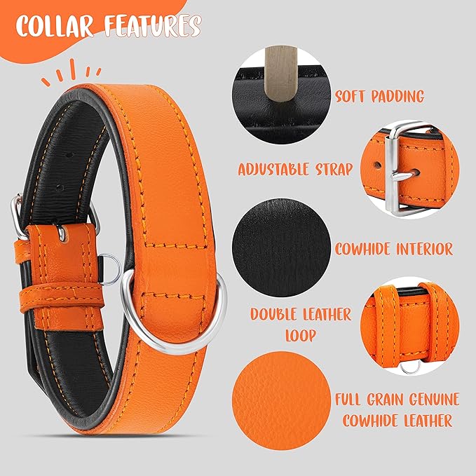 Riparo Orange Dog Collar, Leather Dog Collar with Dog Tag Holder, Small Dog Collar for Small Dogs (S: 0.75” Wide for 10”-13.5” Neck, Orange)