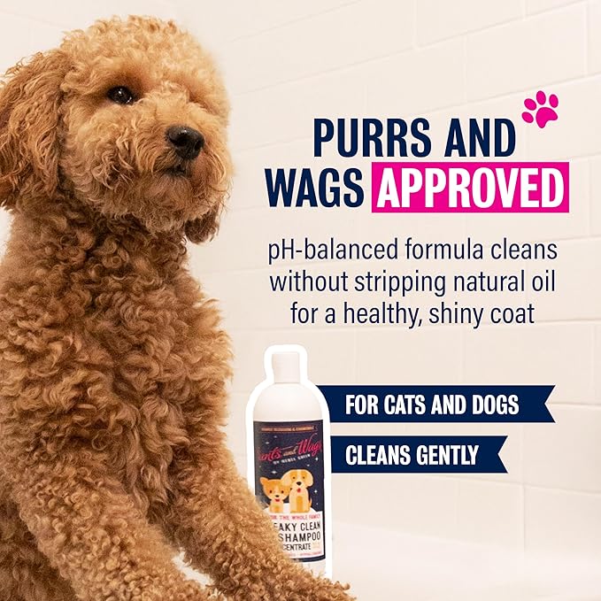 Pants & Wags by Rebel Green Squeaky Clean Pet Shampoo Concentrate - Orange Blossom & Chamomile - Hypoallergenic - No Dyes or Perfumes - 16 oz - 2 Pack