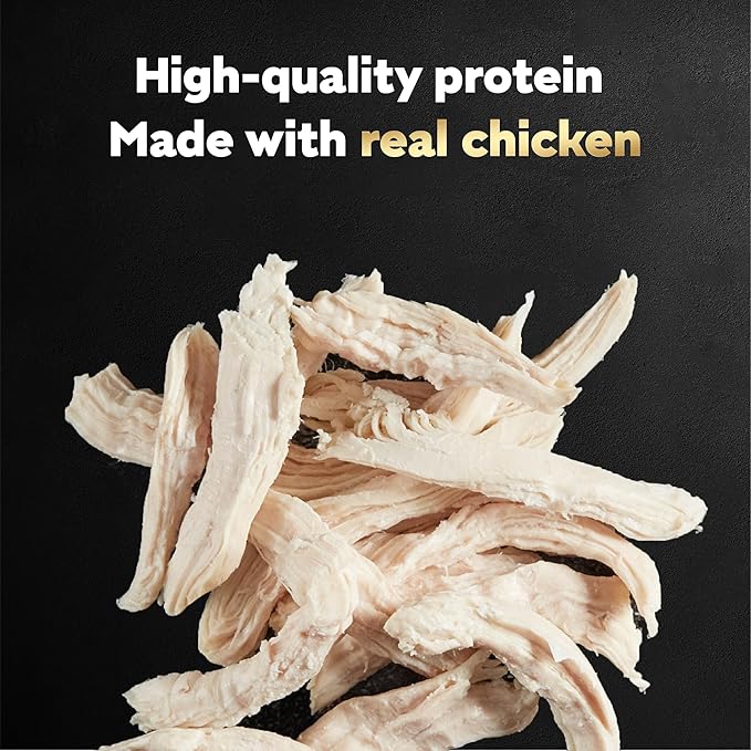 Cesar Filets in Gravy Wet Dog Food, Rotisserie Chicken Flavor, 1.76 oz. Mini-Pouches, 20 Count (Pack of 1)