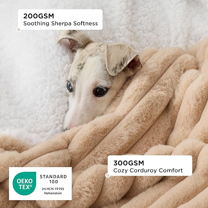 Bedsure Waterproof Dog Blankets for Medium Dogs - Soft Puppy Cat Blanket Corduroy Fleece Washable, Cozy Calming Reversible Furniture Protection for Pet Kitten Doggy,30"x40", Tuscan Beige
