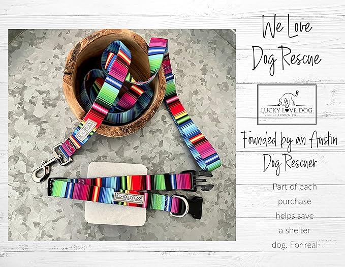 Lucky Love Dog - Adjustable Dog Collar with Easy Click Buckle for Small to Large Dogs, Durable, & Comfortable for Male & Female Dogs, Pet Collar for Puppies & Adult Ones - Nacho, XS