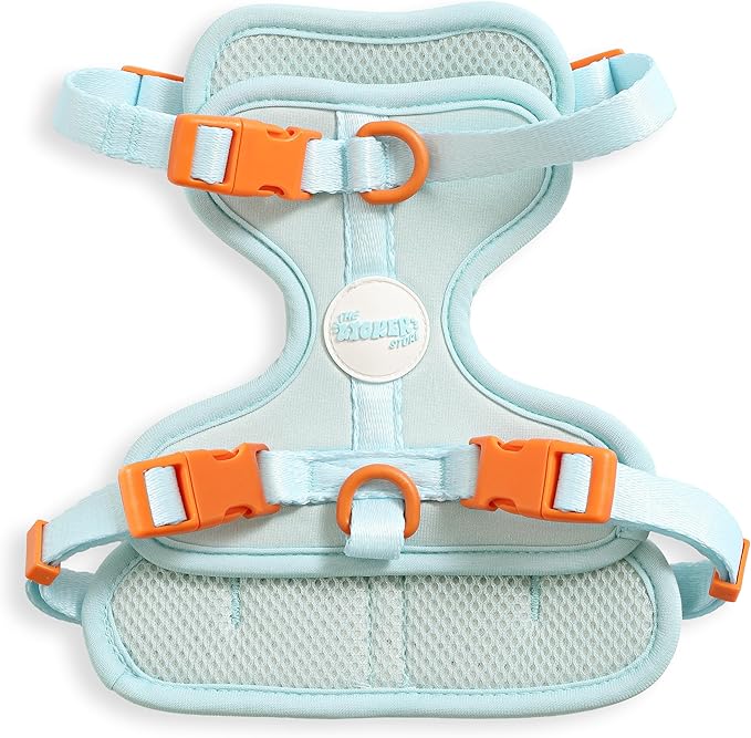 HNS1001D Arlo Small Adjustable Soft Padded No Pull Pet Harness with 3 Buckles and 3 Leash Clips, Fishbowl