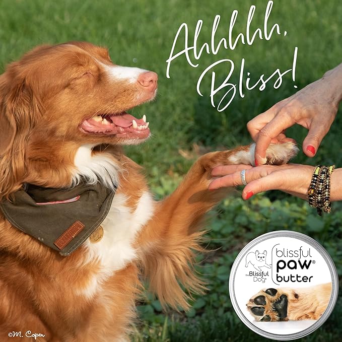 The Blissful Dog Paw Butter, Moisturizer for Dry Paw Pads, Softens and Protects a Rough Paw in Winter, Versatile, Lick-Safe Dog Paw Pad Balm, 3 oz.