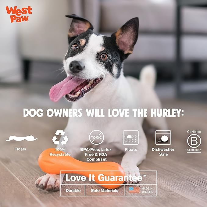 WEST PAW Zogoflex Hurley Dog Bone Chew Toy – Floatable Pet Toys for Aggressive Chewers, Catch, Fetch – Bright-Colored Bones for Dogs – Recyclable, Dishwasher-Safe, Non-Toxic, X-Small, Granny Smith