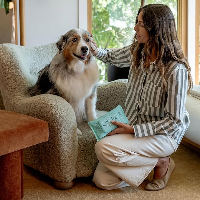 WagWell Daily Cleansing Dog Wipes – Vet-Approved, All Natural, Dermatologist Tested, Microbiome-Friendly – Head-to-Tail (Avoid Eye Area), Helps Reduce Odor – No Added Fragrance, 50 Count