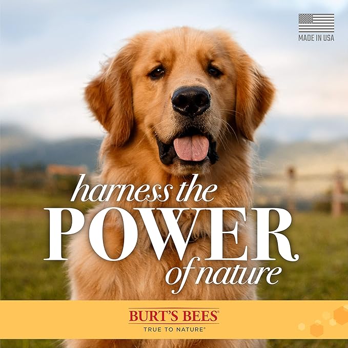 Burt's Bees for Pets Multipurpose Grooming Wipes - All-Purpose Cleaning & Grooming for Dogs - Cruelty-Free, 50 Count (6 Pack)
