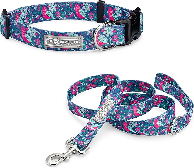 Lucky Love Dog - Adjustable Collar and Leash Set with Easy Click Buckle for Small to Large Dogs, Durable, & Comfortable Collar for Male & Female Dogs, Puppies & Adult - CarrieBelle Combo, XS