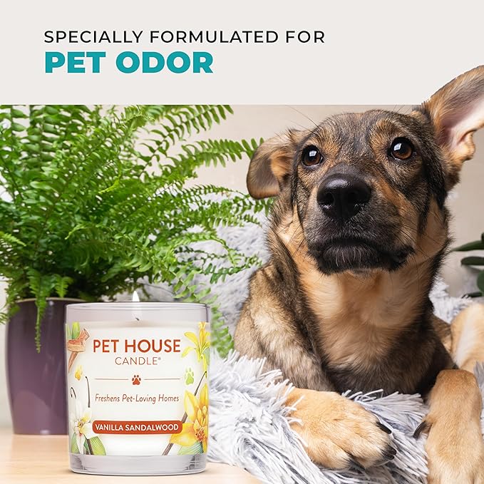 One Fur All Pet House Candle 2 Pack - Plant-Based/Soy - Clean Burning Scented, Long Lasting Pet Odor Candle for Home - Mediterranean Sea