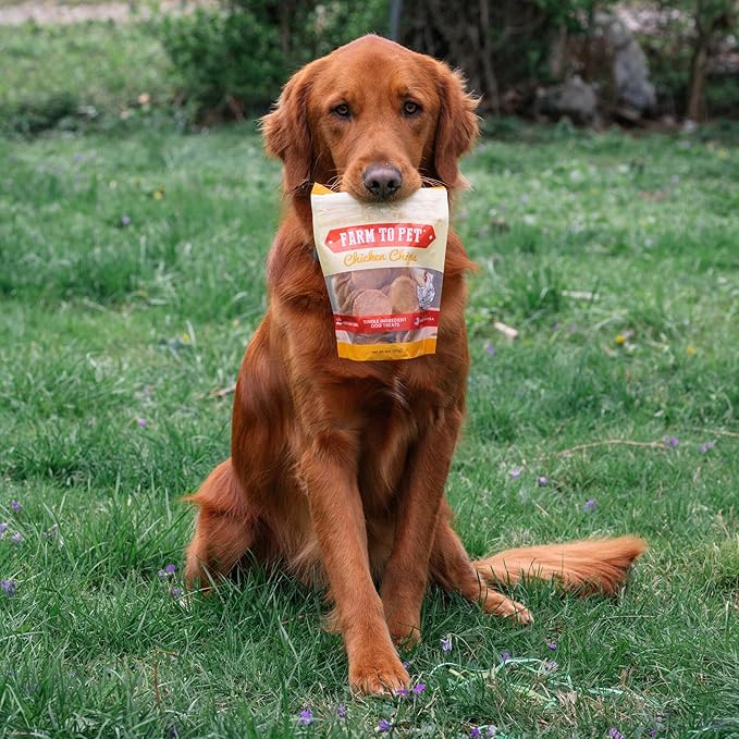 Farm To Pet - Dog Training Treats - Chicken Chips, Single Ingredient - 4 oz, Lean, All Natural, Healthy Dog Treats for Small, Medium, Large Breeds, & Puppies, Made in USA