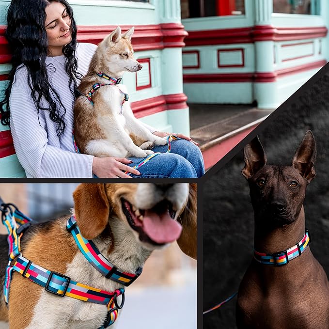 Wolfgang Heavy Duty, Adjustable Dog Collar with Quick Release Nylon Buckle for Walking & Training, Mixtape Print, Large
