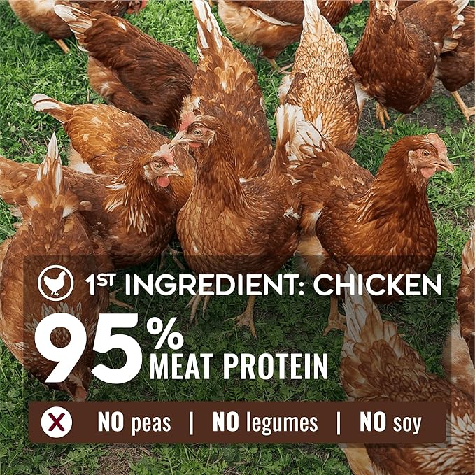 NATURE'S LOGIC Pure Naturals™ 100% Natural Grain-Free Chicken Recipe Synthetic-Free Dry Dog Food, 24 lbs