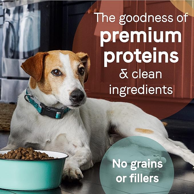 Canidae Pure Grain Free Dry Puppy Food, Real Chicken, Lentil & Whole Egg, 4 lbs.