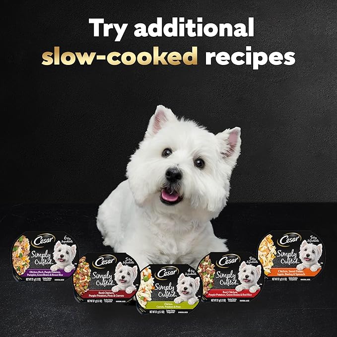 Cesar Simply Crafted Wet Dog Food Toppers for Dry Food, Chicken and Beef Meal Topper Variety Pack, 1.3 oz. Tubs, Variety Pack, 40 Count (Pack of 1)