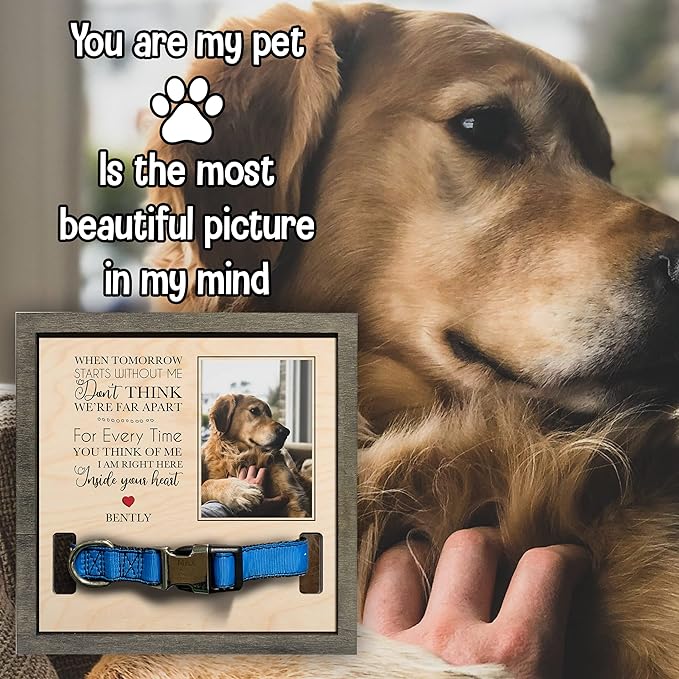 Personalized Dog Picture Pet Loss Sign Frames Cat Passed Away Gift Wood Sign Pet Picture Frame Heaven Sympathy Gifts for Christmas Memorial Plaques for Cat Picture Frames
