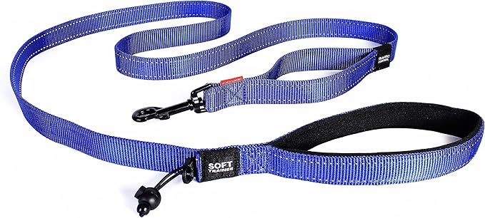 EzyDog Soft Trainer Dog Leash with Traffic Control Handle - Reflective Stitching for Nighttime Safety and Superior Strength and Comfortability for Training Small Dogs (Under 26 lbs) (72”, Blue)