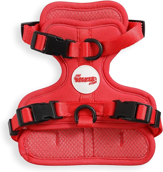 HNS1000M Arlo Extra Small Adjustable Soft Padded No Pull Pet Harness with 3 Buckles and 3 Leash Clips, Shirley