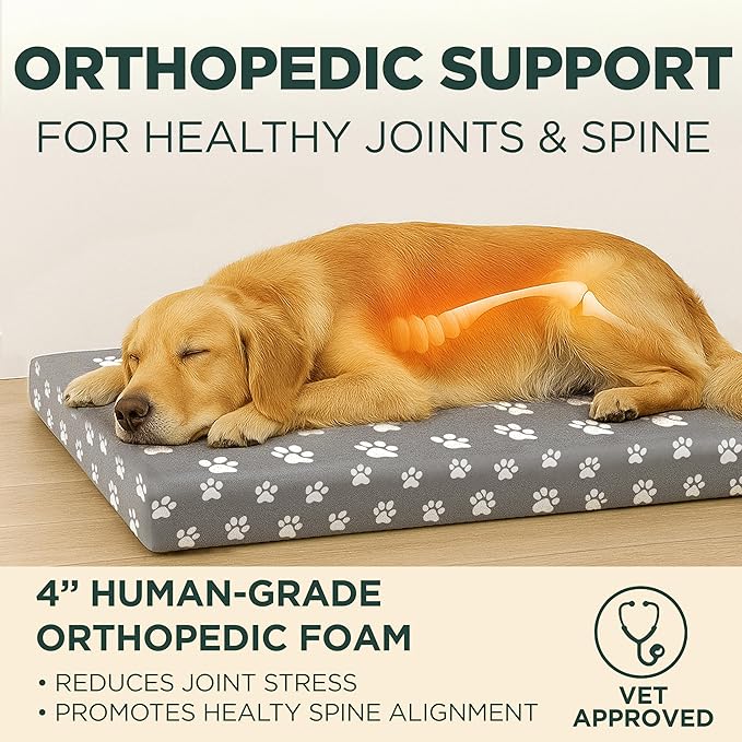 Human Dog Bed, 60x30 Inch, for Adults — Orthopedic Mattress, Protective Liner, 100% Cotton Fitted Sheet — Breathable, Hypoallergenic, Easy to Clean — Gray