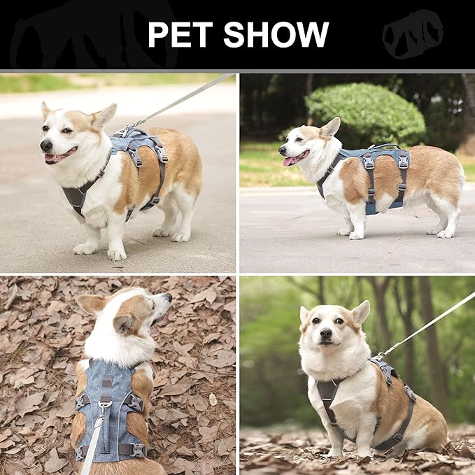 Escape Proof Dog Harness Small Sized Dog, Reflective No Pull Dog Vest with Handle, Lightweight Full Body Pet Harness Adjustable for Walking,Training(Blue,Chest:16-27")