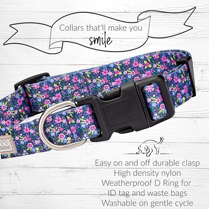 Lucky Love Dog - Easy Click Buckle Dog Collar with Leash Set Combo, Durable & Comfortable for Male & Female Dogs, Pet Collar for Small to Large Dogs, Secure Fit - Primrose Combo, Medium