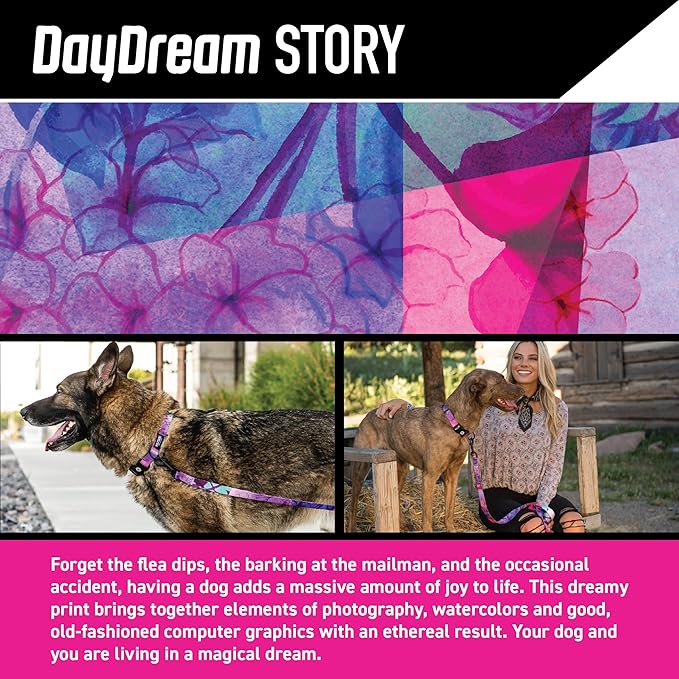 Wolfgang Heavy Duty Martingale Dog Collar with Quick Release Nylon Buckle for Walking & Training, Daydream Print, Extra Large