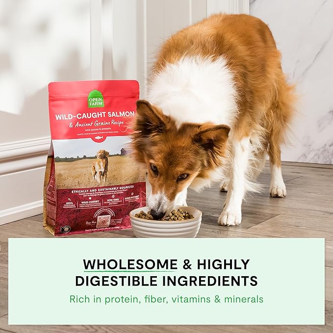 Open Farm, Ancient Grains Dry Dog Food, Protein-Rich & Nutrient Dense, 90% Animal Protein Mixed with Non-GMO Fruits, Veggies and Superfoods, Harvest Chicken Recipe, 11lb Bag