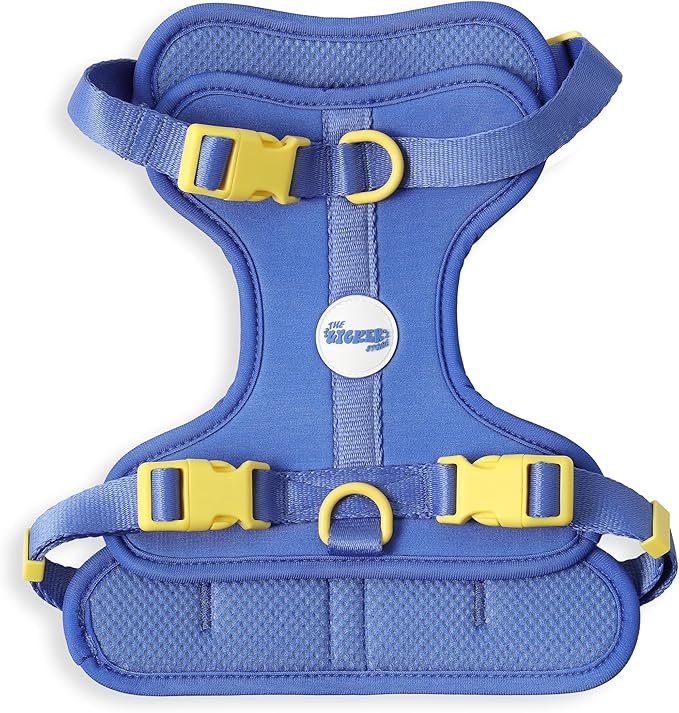 HNS1002C Arlo Medium Adjustable Soft Padded No Pull Pet Harness with 3 Buckles and 3 Leash Clips, Curaçao