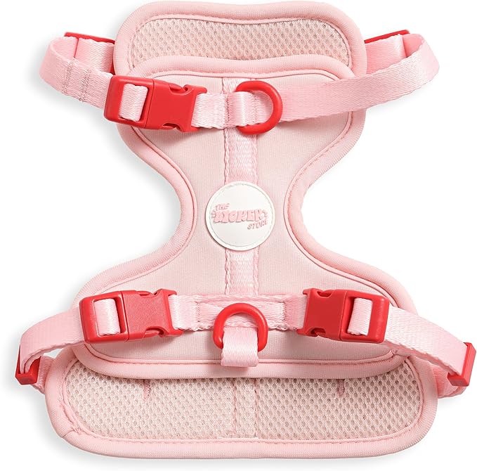 HNS1001G Arlo Small Adjustable Soft Padded No Pull Pet Harness with 3 Buckles and 3 Leash Clips, Paloma