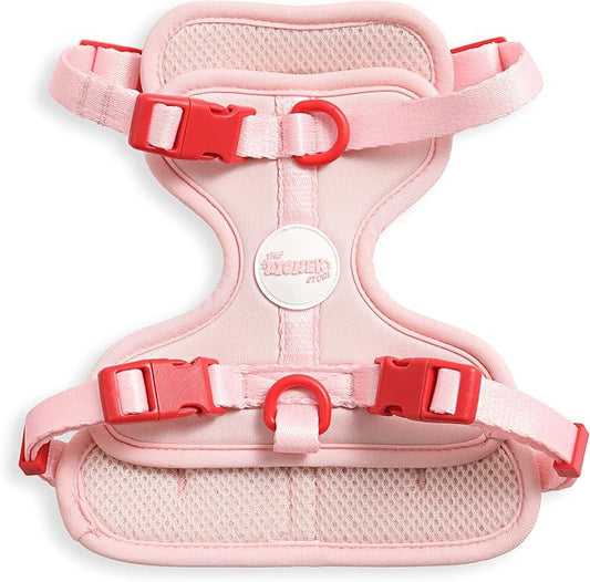 HNS1001G Arlo Small Adjustable Soft Padded No Pull Pet Harness with 3 Buckles and 3 Leash Clips, Paloma