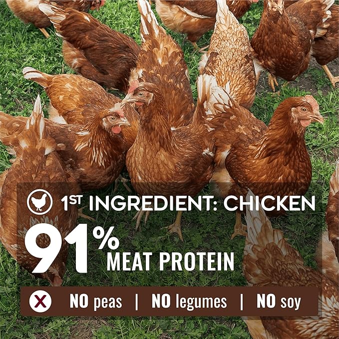 NATURE'S LOGIC Pure Naturals™ 100% Natural Chicken Recipe Synthetic-Free Dry Dog Food, 12 lbs
