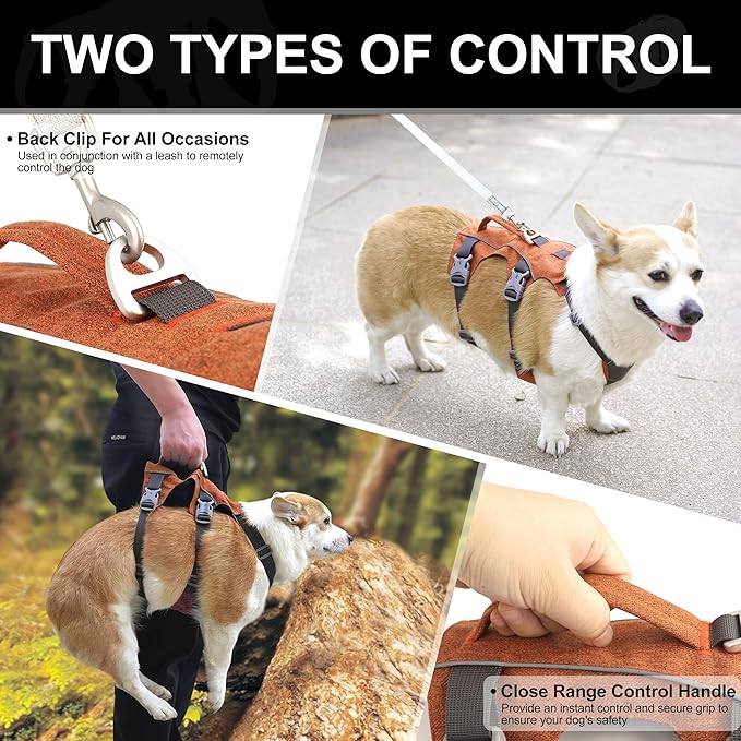Escape Proof Dog Harness Small Sized Dog, Reflective No Pull Dog Vest with Handle, Lightweight Full Body Pet Harness Adjustable for Walking,Training(Orange,Chest:16-27")