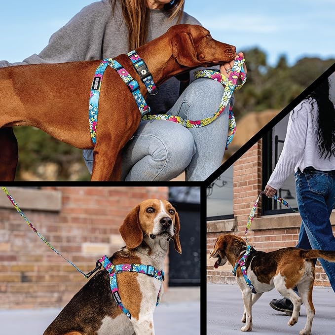 Wolfgang Heavy Duty Adjustable Dog Harness, Pull-Tested to Over 800 lbs for Walking & Training, LazyDaisy Print, X-Large