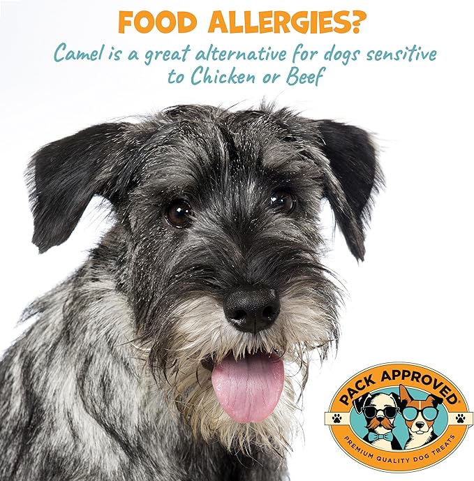 6" Braided Camel Sticks - Long Lasting Dog Chews for Aggressive Chewers - Rawhide Alternative, Grain Free, One Ingredient Treats - Great for Dog Dental Care - (10 Pack)