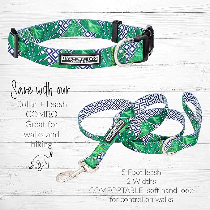 Lucky Love Dog Collar, Beautiful & Vivid Pattern Small Boy Dog Collars, Easy On & Off Clasp Accessory (Blue Laguna, S)